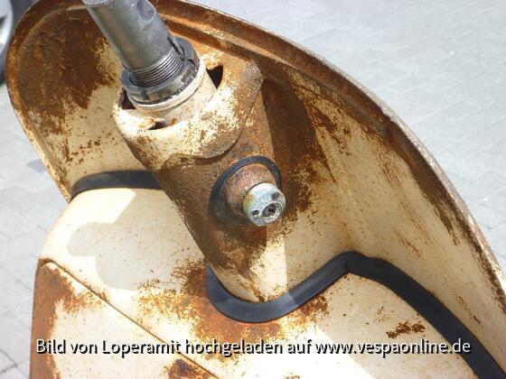 Rost Tag 5