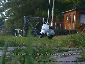 dsc00504.jpg