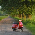 Vespa am Feldweg