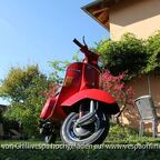 Vespa PK 50 XL1_1