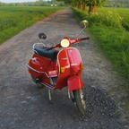 Vespa am Feldweg